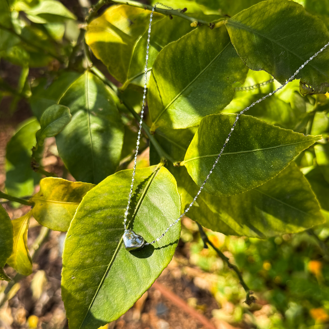 Heart on Silver Chain