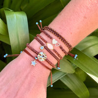 Chestnut Brown Collection
