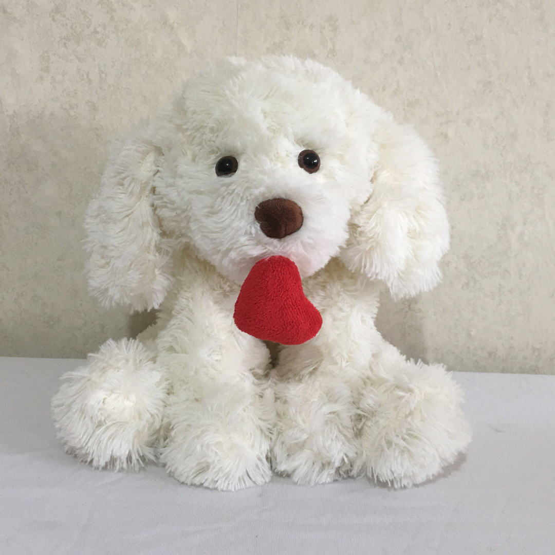 White Dog With Red Heart